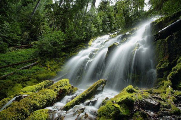 Unlocking the power of residential proxies for online success